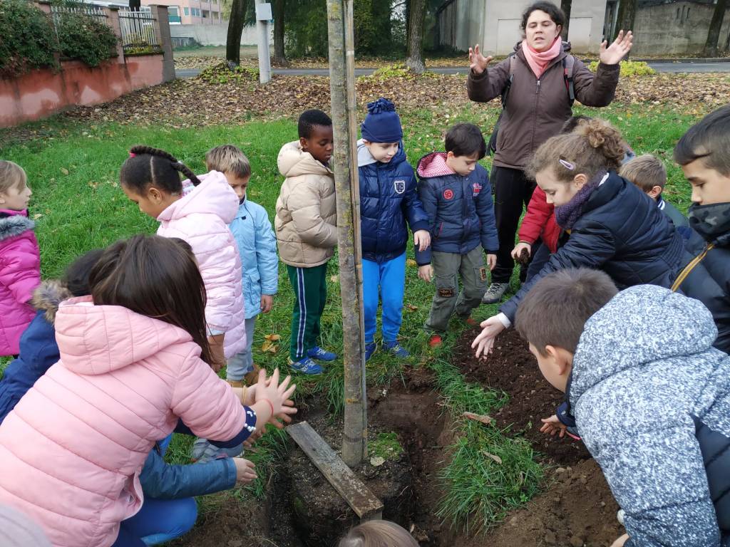 Caronno Pertusella: festa dell’albero con i piccoli della scuola sant’Alessandro