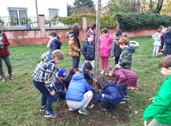 Caronno Pertusella: festa dell’albero con i piccoli della scuola sant’Alessandro