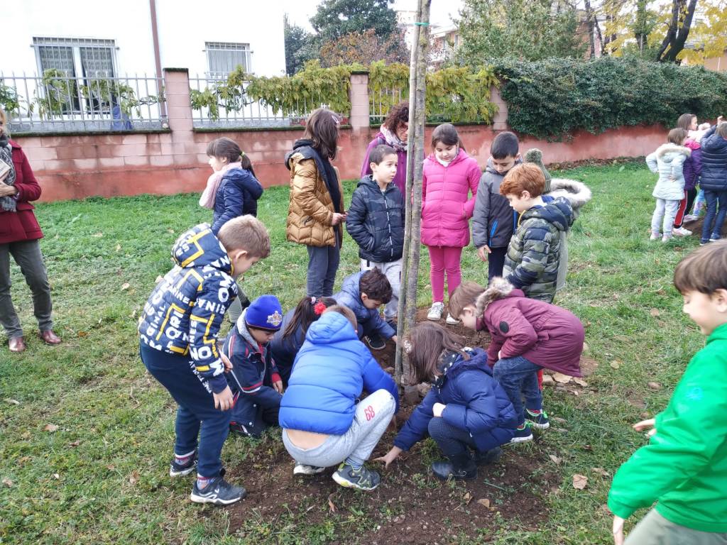 Caronno Pertusella: festa dell’albero con i piccoli della scuola sant’Alessandro