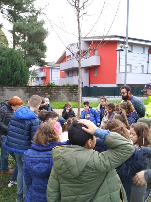 Caronno Pertusella: festa dell’albero con i piccoli della scuola sant’Alessandro