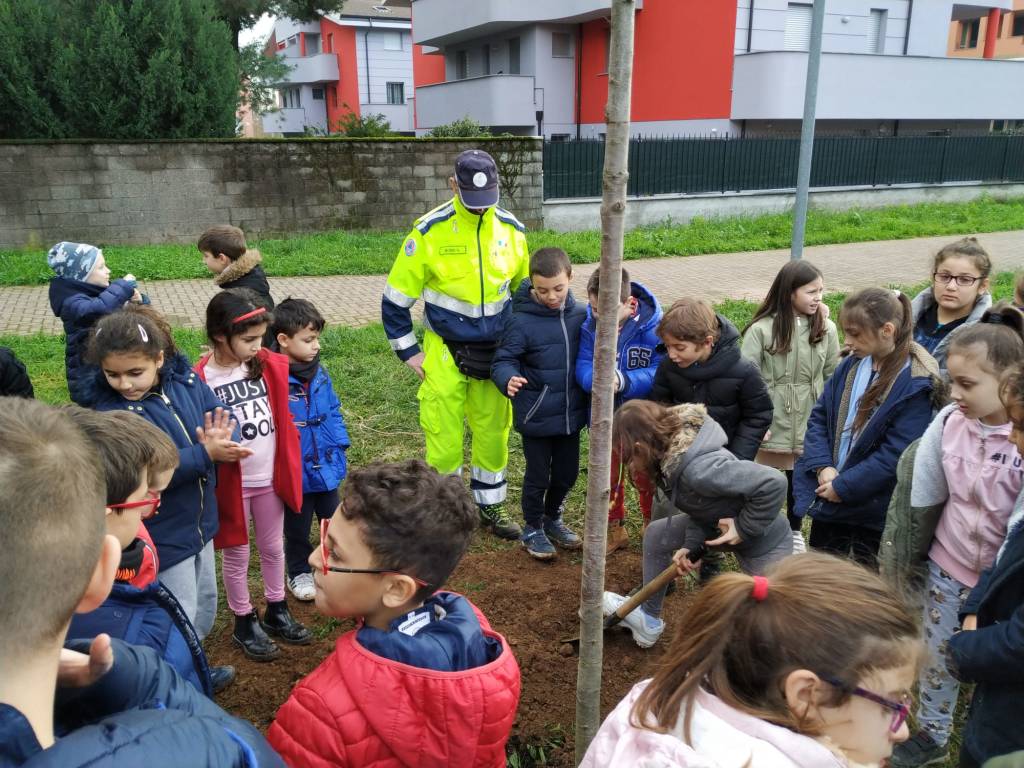 Caronno Pertusella: festa dell’albero con i piccoli della scuola sant’Alessandro