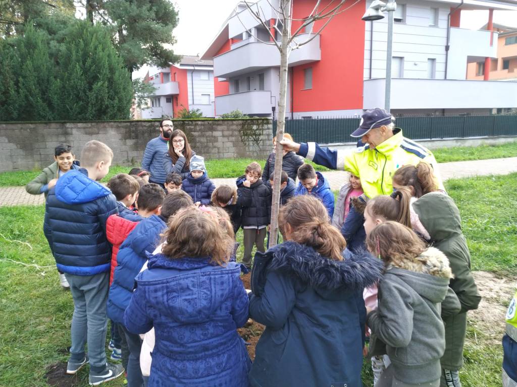 Caronno Pertusella: festa dell’albero con i piccoli della scuola sant’Alessandro