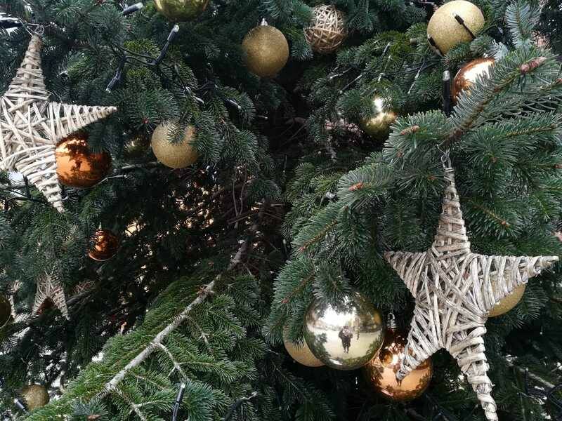 decorazioni di natale legnano 2019 piazza san magno  11 