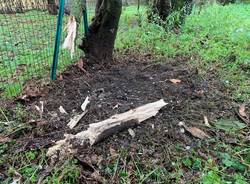 Fanno esplodere una bomba carta, boato a Cuveglio