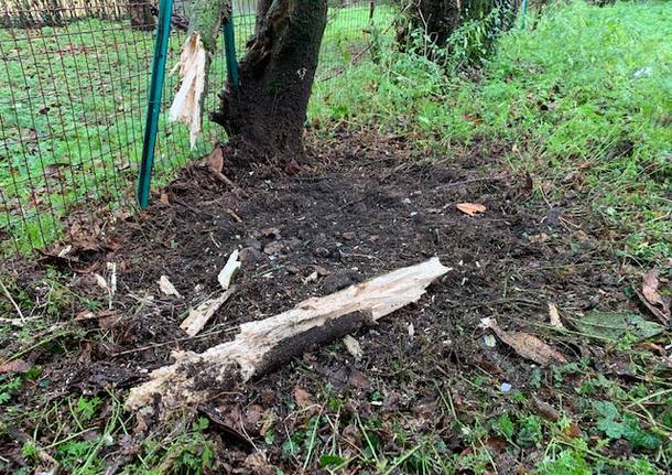 Fanno esplodere una bomba carta, boato a Cuveglio - Varesenews