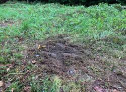 Fanno esplodere una bomba carta, boato a Cuveglio