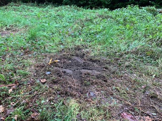 Fanno esplodere una bomba carta, boato a Cuveglio