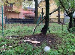 Fanno esplodere una bomba carta, boato a Cuveglio