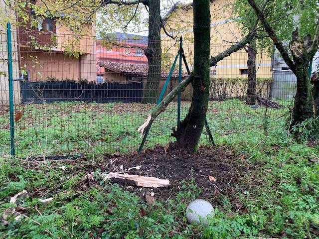 Fanno esplodere una bomba carta, boato a Cuveglio