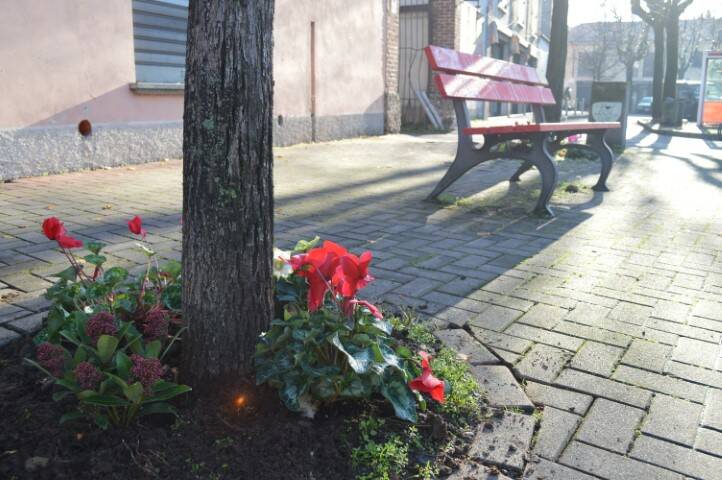 fiori panchina rossa canegrate mario prestianni uomo dei fiori  2 