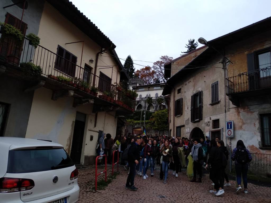 Fridays for Future, centinaia di studenti in piazza a Luino