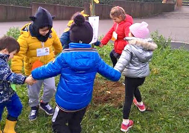 giornata mondiale albero comune di malnate