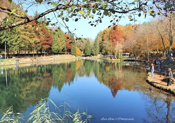 Induno Olona, autunno al laghetto Fonteviva - foto di Luca Leone