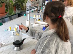 laboratorio curie