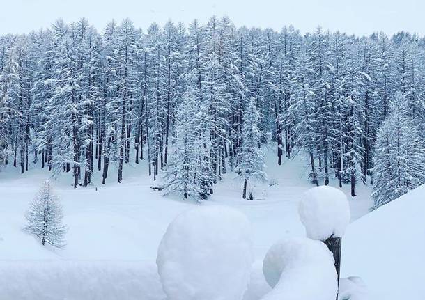 Livigno Neve novembre 2019