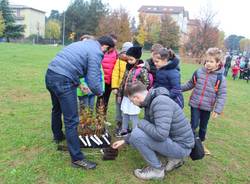 Lomazzo celebra la festa dell'albero con 50 nuove piante