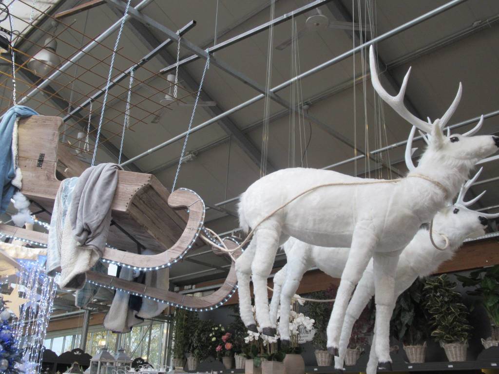 Natale in Agricola 2019