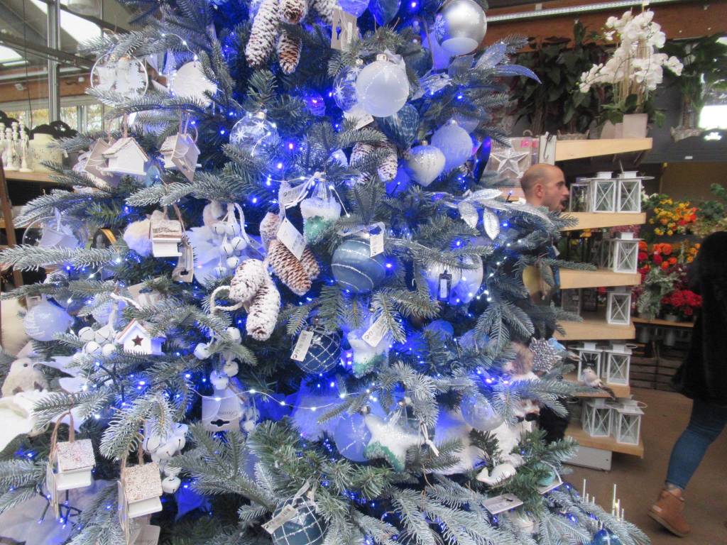 Natale in Agricola 2019