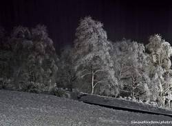 Neve al passo Forcora, Novembre 2019