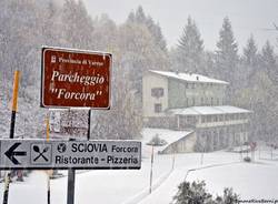 neve forcora