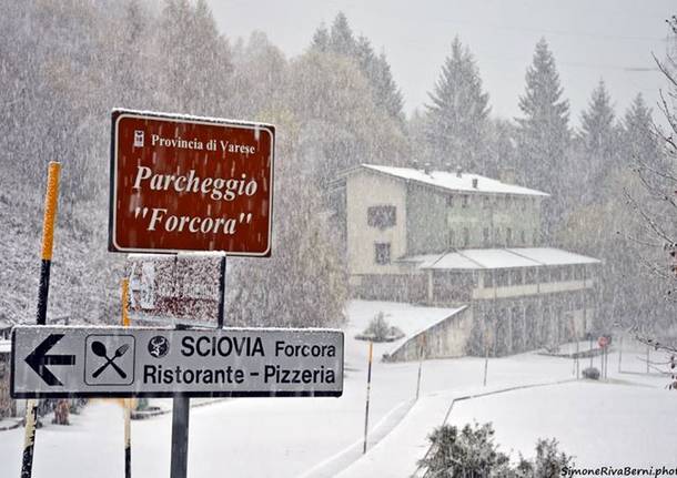 neve forcora