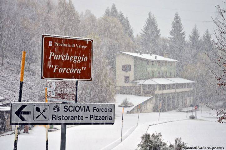 neve forcora