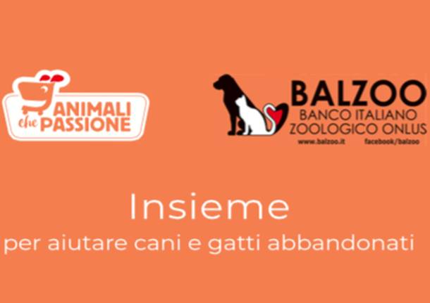 Raccolta Alimentare animali