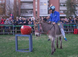 Rama di Pomm 2019