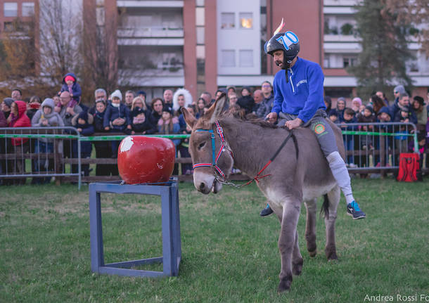 Rama di Pomm 2019