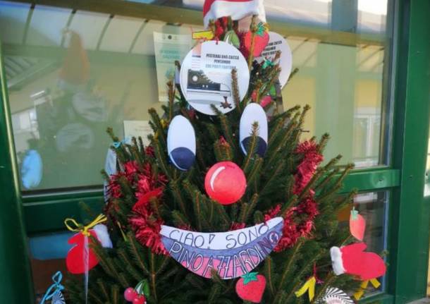 Foto Degli Alberi Di Natale.L Addobbo Degli Alberi Di Natale Diventa Contro Il Gioco D Azzardo