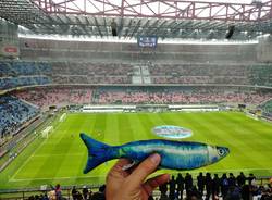 Le sardine a Milano