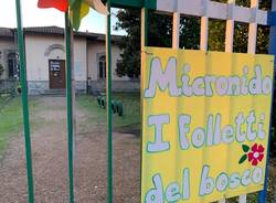 Indagini sul micronido