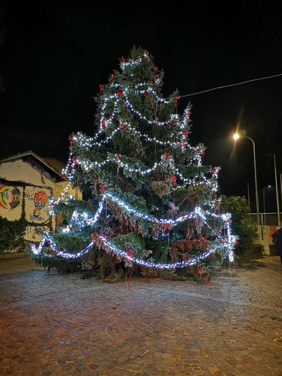 Work in progress per l\'albero di Cuveglio