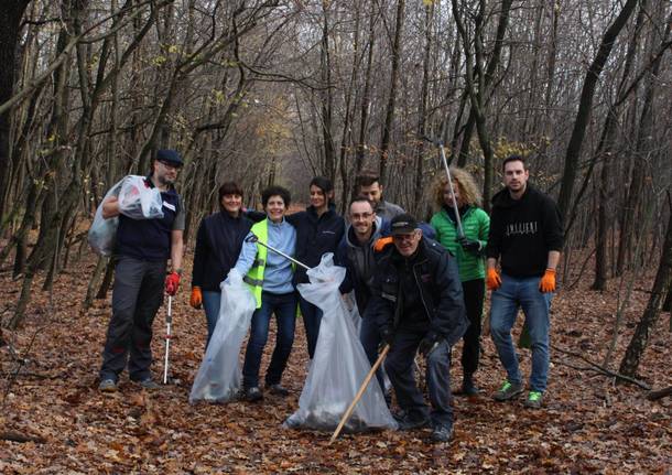 ecologia quanrta system ambiente partetuttodanoi