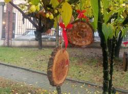 gallarate generico