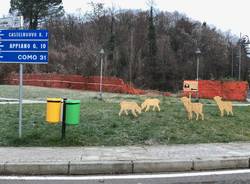 Il presepe itinerante di Abbiate