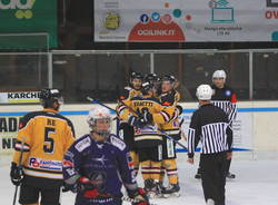 Mastini - Unterland Cavaliers 4-2