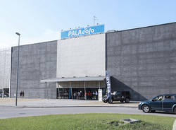 palaeolo palasport castelletto ticino oleggio magic basket