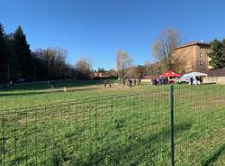 Parco dedicato ai cani di Avigno - Banda biscotto