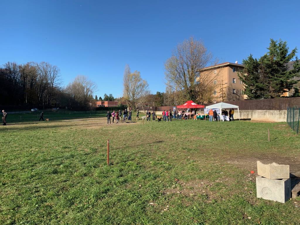 Parco dedicato ai cani di Avigno - Banda biscotto