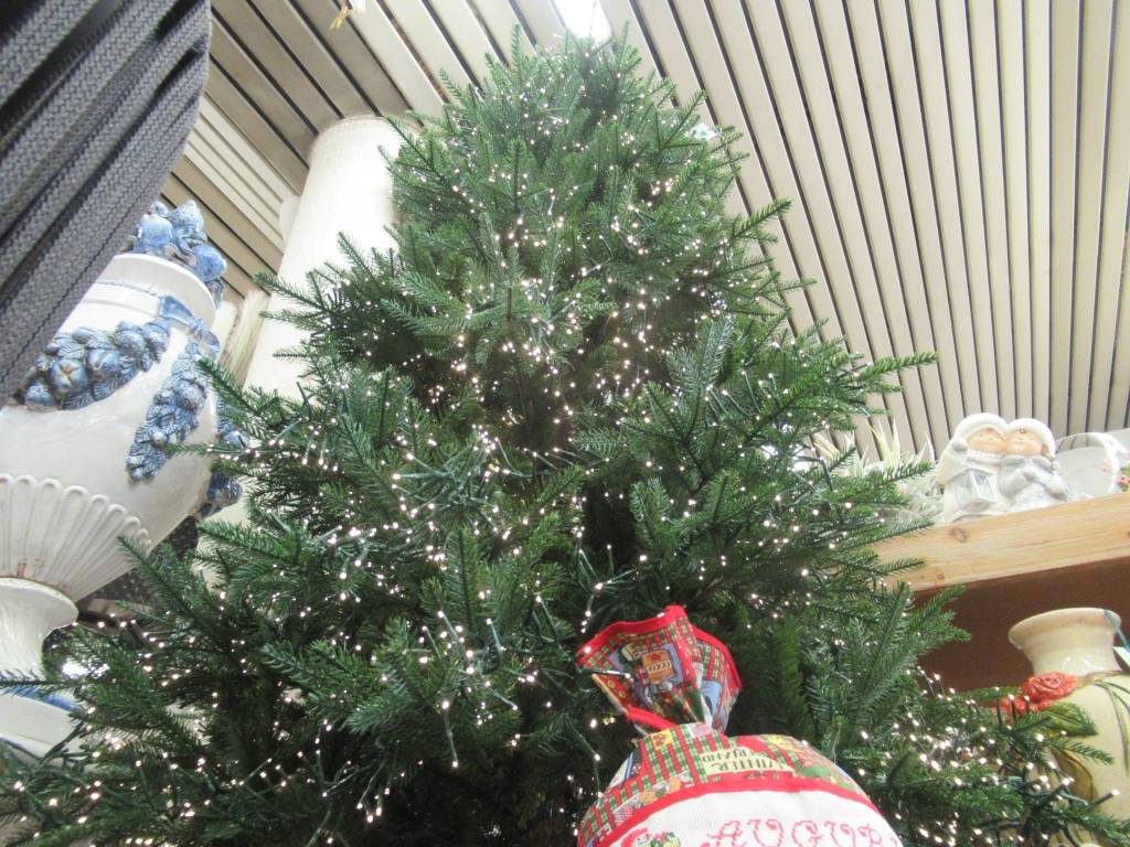 Tre.Vi srl - Natale 2019 2