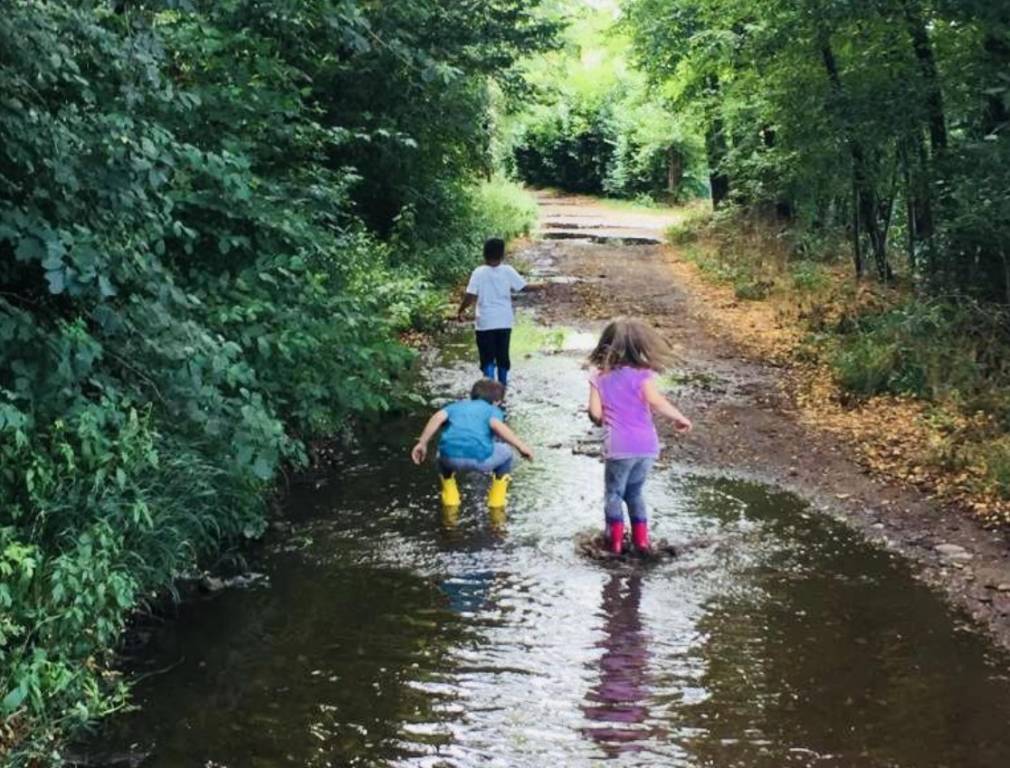 asilo nel bosco bastide busto