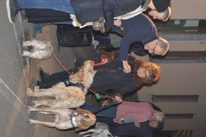 benedizione degli animali cerro maggiore  37 