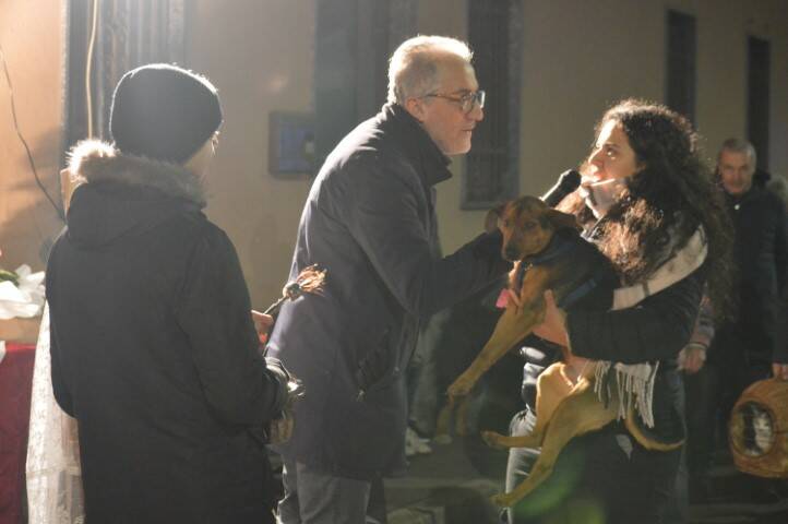 benedizione degli animali cerro maggiore  39 