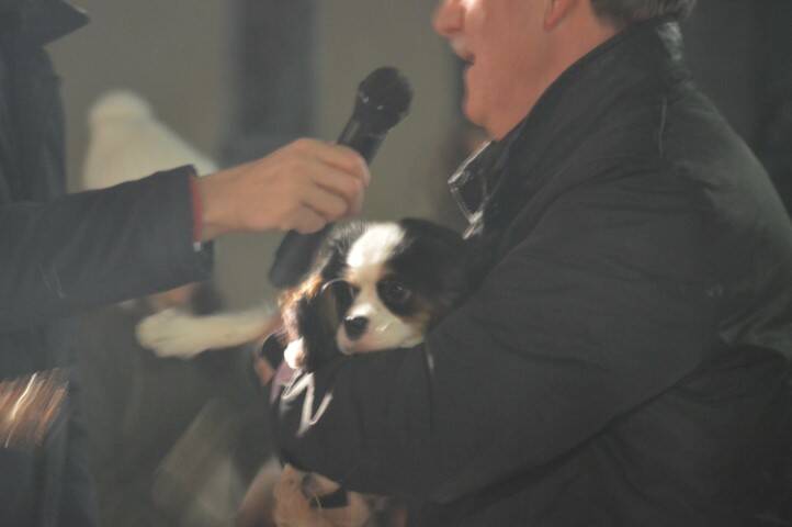 benedizione degli animali cerro maggiore  9 