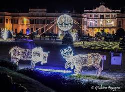 2020 Luci a Varese
