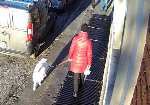 Manomette una grata e una donna ci finisce dentro