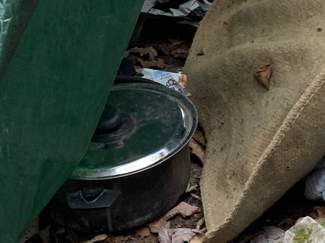 Il foto racconto di una mattinata nei boschi a caccia degli spacciatori