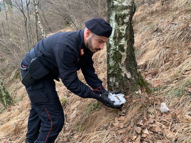 Il foto racconto di una mattinata nei boschi a caccia degli spacciatori