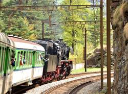 Il pazzo carnevale svizzero in treno